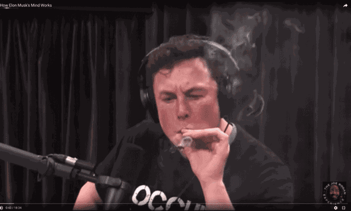 Musk fær sér í haus.