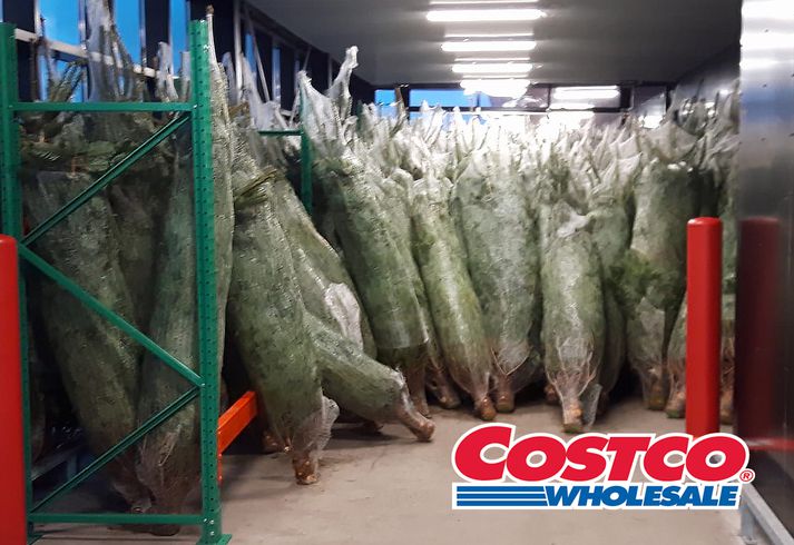 Þessi mynd var tekin við verslun Costco á dögunum.