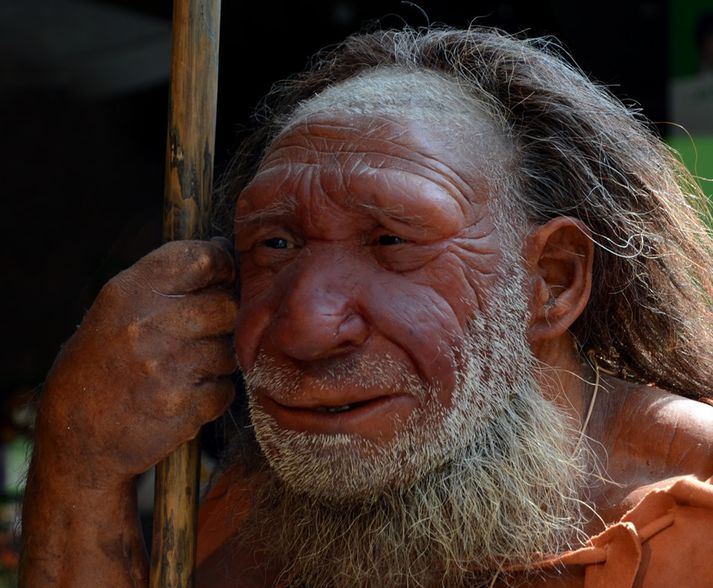 Líkan af Neanderdalsmanni í safni í Þýskalandi.