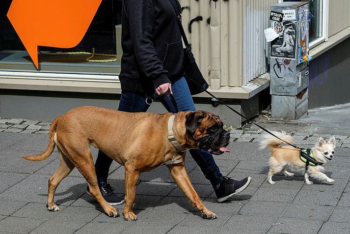 Í dag þarf samþykki 2/3 íbúa fyrir hunda eða kattahalti í fjölbýlishúsi.