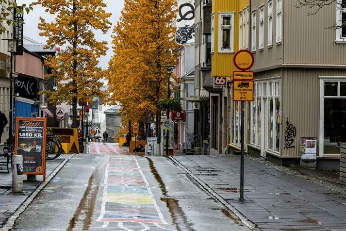 Ferðamennirnir voru undir áhrifum áfengis á stað í miðbæ Reykjavíkur þann 26. september. Þeir voru sektaðir um 250 þúsund krónur sem er hámarkssekt. Þeir hafa ekki greitt sektina.