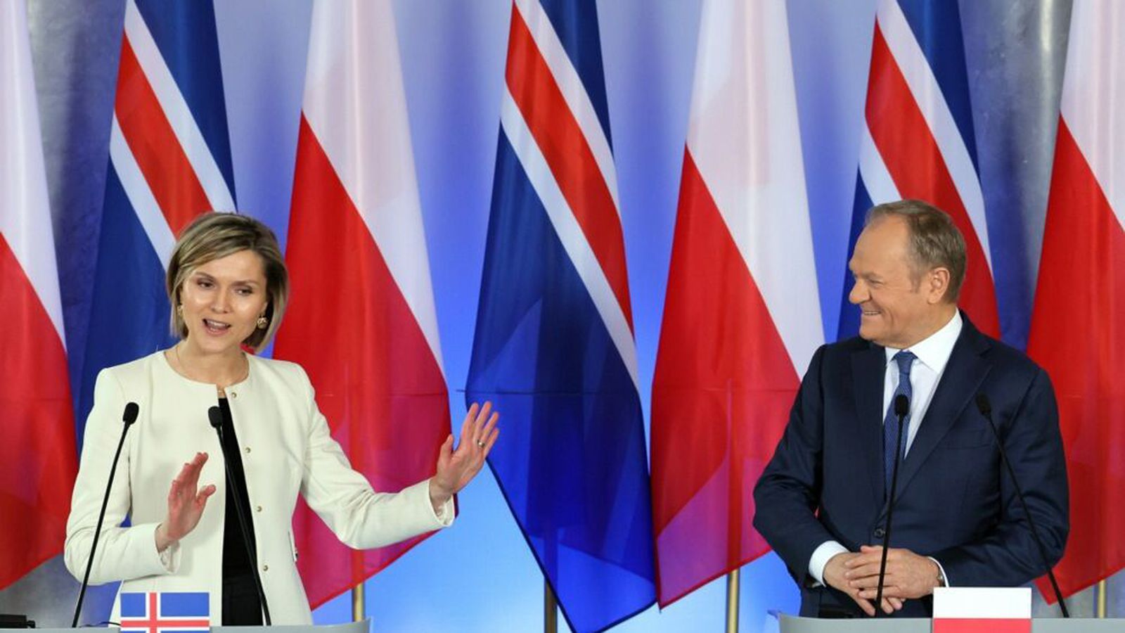 Yrði glaður að fá Ís­land í ESB: At­kvæða­greiðsla á næstu mánuðum