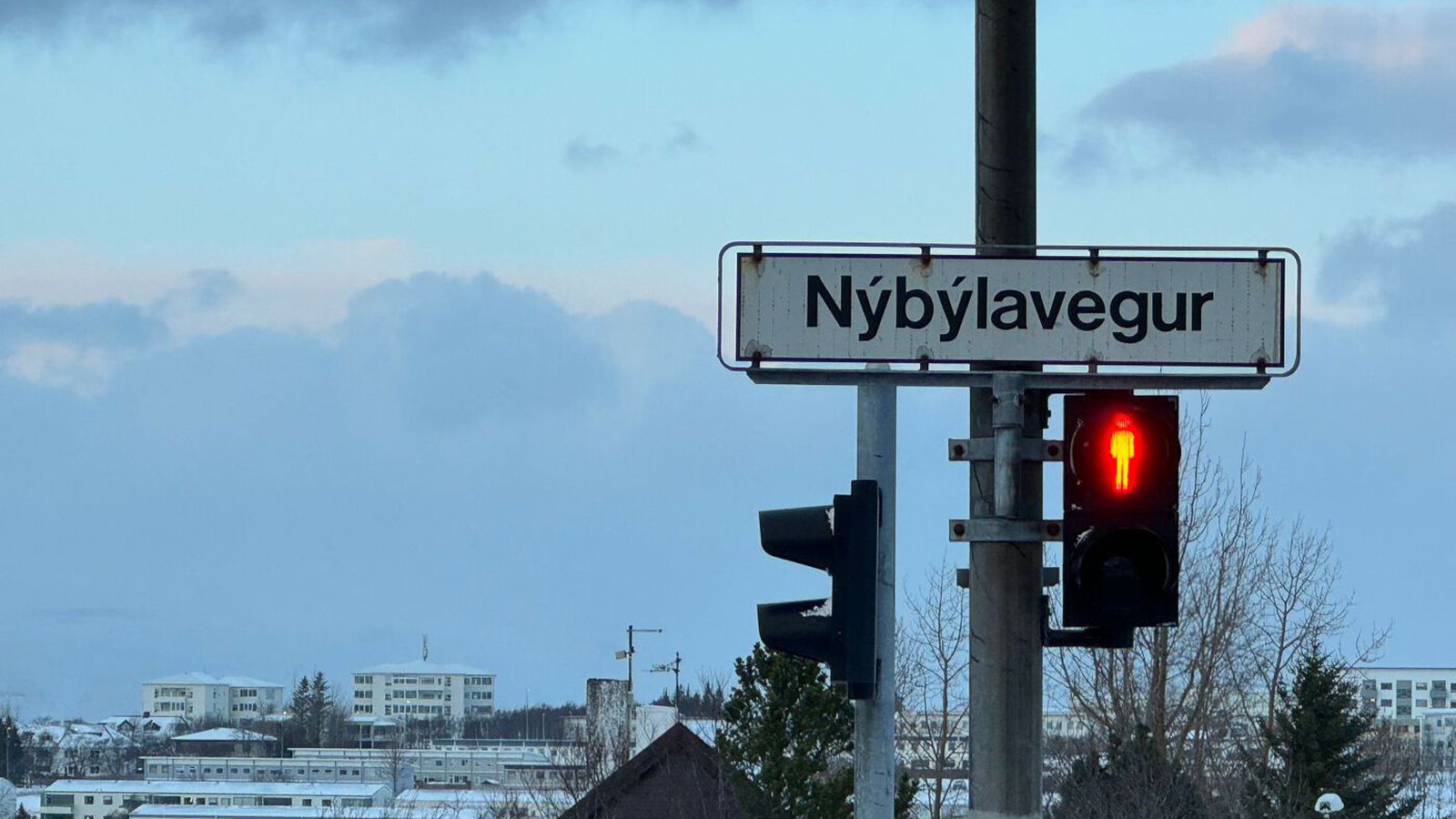 Hæsti­réttur stað­festir dóm yfir móður sem myrti son sinn