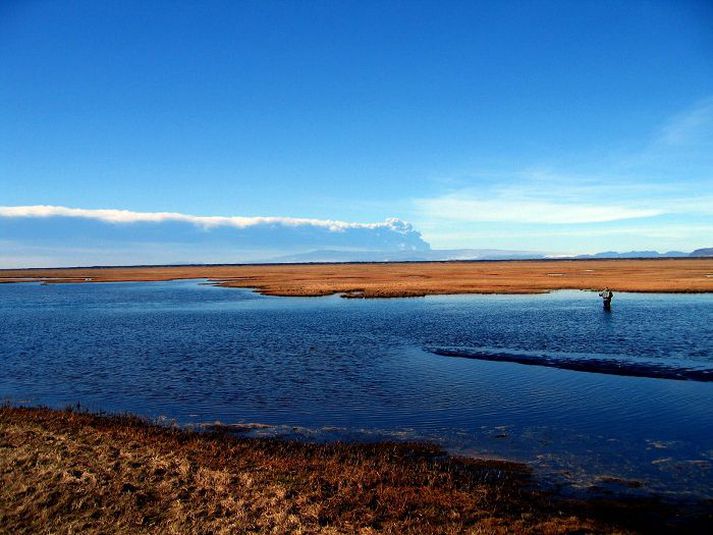 Veiðimenn hafa átt góðar stundir á vatnasvæði Grenlækjar en telja að nú hafi syrt í álinn.