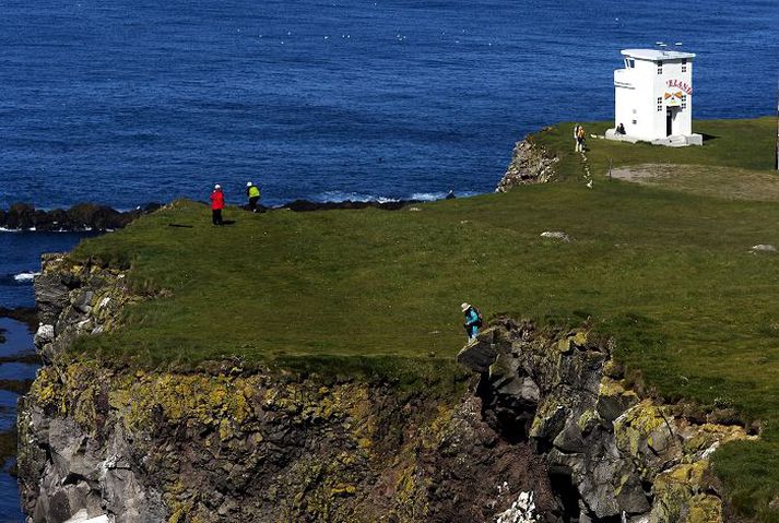 Náttúruperlan Látrabjarg er vestasti oddi Íslands.