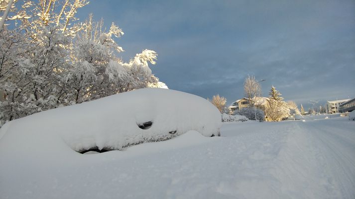 Snjóþykktin í dag mældist rúmur hálfur metri.