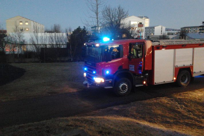 Slökkviliðsbíll og fjöldi slökkviliðsmanna voru á staðnum.