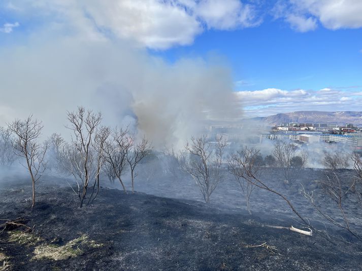 Eins og sjá má náði eldurinn yfir töluvert svæði og mikinn reyk lagði upp í loft frá Rjúpnahæð. 