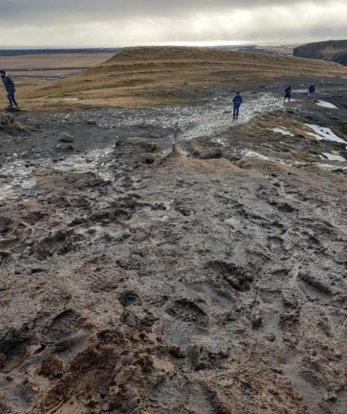 Gríðarlegt álag hefur verið á gönguslóða og umhverfi hans á Skógaheiði ofan Fosstorfufoss.