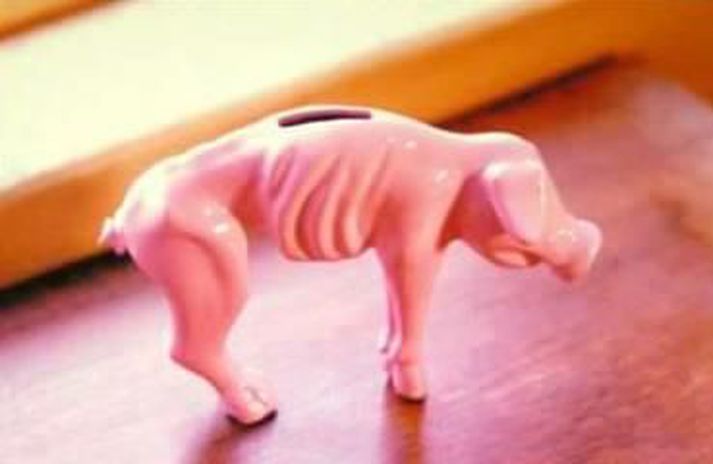 Oink.