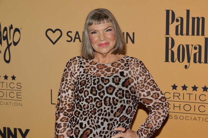 Mindy Cohn segir að græðgi meðleikonu sinnar hafi komið í veg fyrir endurkomu þáttanna Facts of Life.