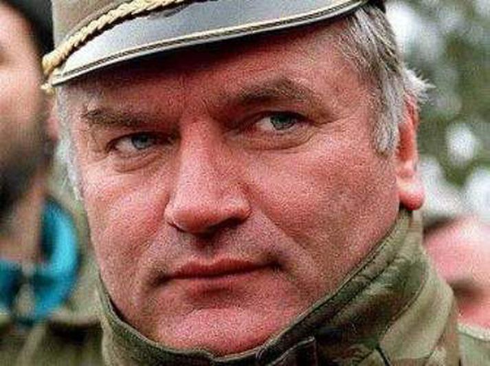 Ratko Mladic
Annar tveggja sakborninga dómstólsins sem enn eru á flótta.
Nordicphotos/AFP