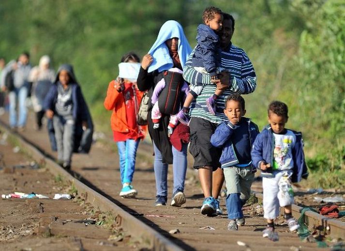 Austurríki, Slóvakía og Holland hafa ákveðið að koma á landamæraeftirliti vegna flóttamannavandans.