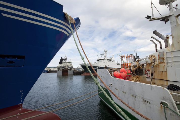 Tæp 40 prósent sjómanna í nýrri könnun höfðu orðið vör við einelti um borð. 
