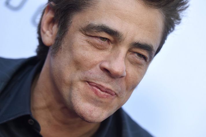 Benicio Del Toro.