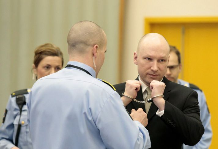 Anders Behring Breivik sagðist vera flokksformaður í flokknum Norræna ríkið.