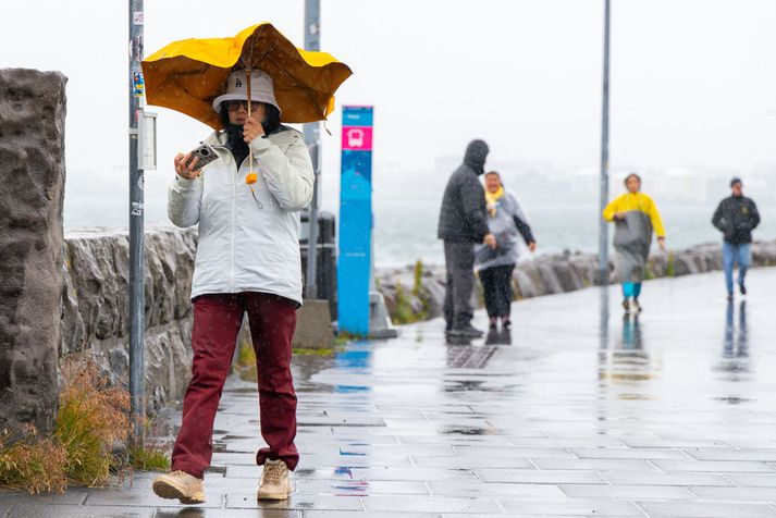Vætusamt hefur verið á landinu vestanverðu í júlí. 