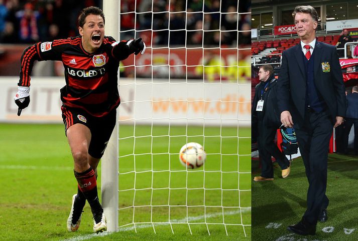 Javier Hernández og maður sem vildi ekki sjá hann, Louis van Gaal.