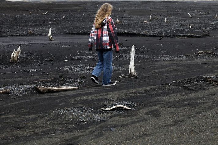 Í Drumbabót er fjöldi trjádrumba sem standa 20 til 60 sentímetra upp úr sandi. Allt eru þetta birkitré og mælingar sýna að þau drápust öll á nákvæmlega sama tíma.