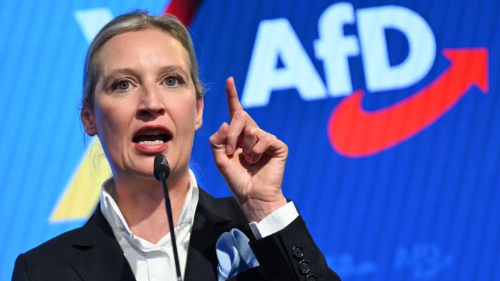 Alice Weidel er formaður Valkosts fyrir Þýskaland og hefur gagnrýnt flokkun hans sem öfgasamtök harðlega.