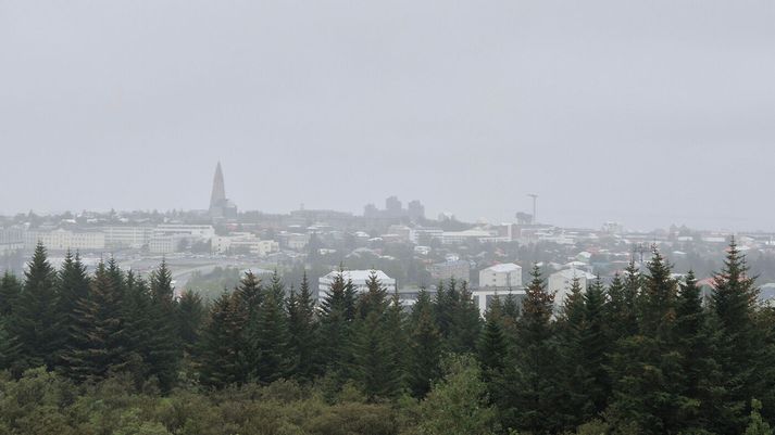 Atvikið sem málið varðar átti sér stað á áfangaheimili í Reykjavík.