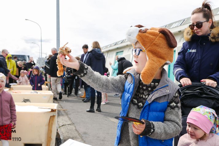 „Ég hef smakkað hann, en ég hef ekki smakkað hann síðan ég smakkaði hann,“ sagði Ólafur Magnús aðspurður hvað honum fyndist um humar.