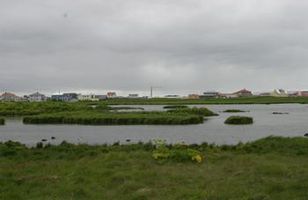 Fréttamynd