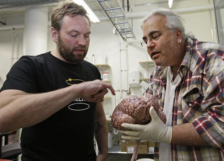 Karl Ægir Karlsson og Paul manger Dr. Manger hefur haft aðstöðu í Háskólanum í Reykjavík síðustu vikur og starfað með dr. Karli Ægi Karlssyni dósent. Heilinn sem Manger heldur á er úr hrefnu sem hvalveiðimennirnir á Hrafnreyði KÓ 100 veiddu fyrir skömmu. 					Fréttablaðið/Vilhelm