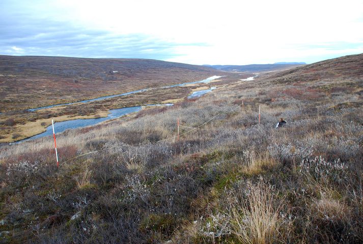 Barnið hafði verið grafið við Hofstaði í Mývatnssveit fyrir margt löngu.