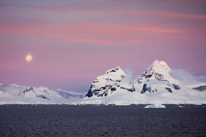 Umferð til Suðurskautslandsins hefur verið takmörkuð frá upphafi faraldursins.