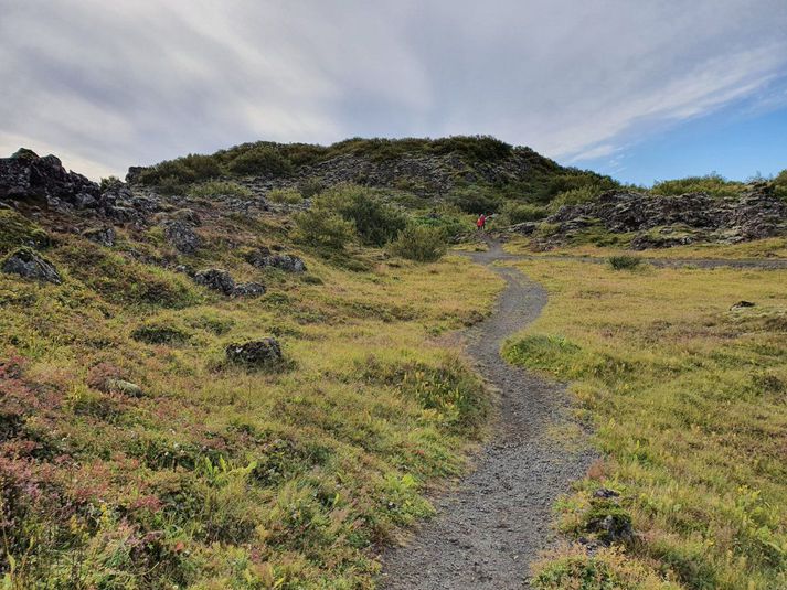 Hraunið er svokallað klumpahraun og er jaðar þess uppbelgdur og úfinn. Í hrauninu eru sveigðir hryggir á yfirborði og úfnir hraukar við jaðrana. Nokkuð er um hraunhella og kallast þeir Selgjárhellar og Maríuhellar. Heitir hraunið Smyrlabúðarhraun við Selgjá og frá Selgjá að Maríuhellum heitir hraunið Urriðakotshraun. 