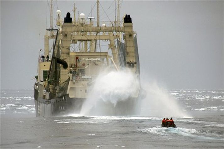 Sea Shepherd liðar eru iðnir við að angra japönsk hvalveiðiskip.