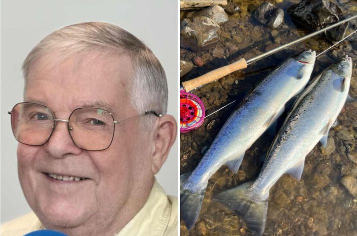 Jón Kristjánsson segir að laxagengd hafi verið á niðurleið til lengri tíma litið, eftir að netaveiðum var hætt og almennt dregið úr veiði.