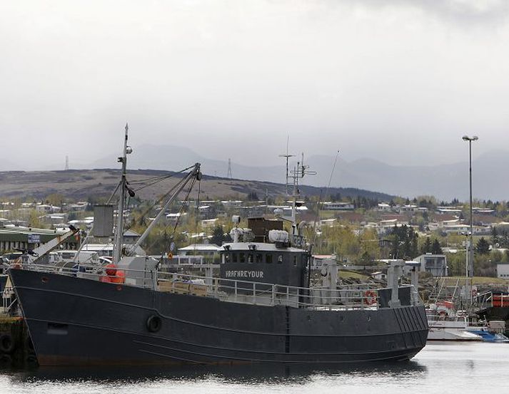 Hrafnreyður KÓ-100 Nýuppgert skip Hrefnuveiðimanna ehf. er ekki ósvipað á litinn og hrefnan sjálf sem því er ætlað að veiða. Gert er út frá Kópavogshöfn. Fréttablaðið/Vilhelm