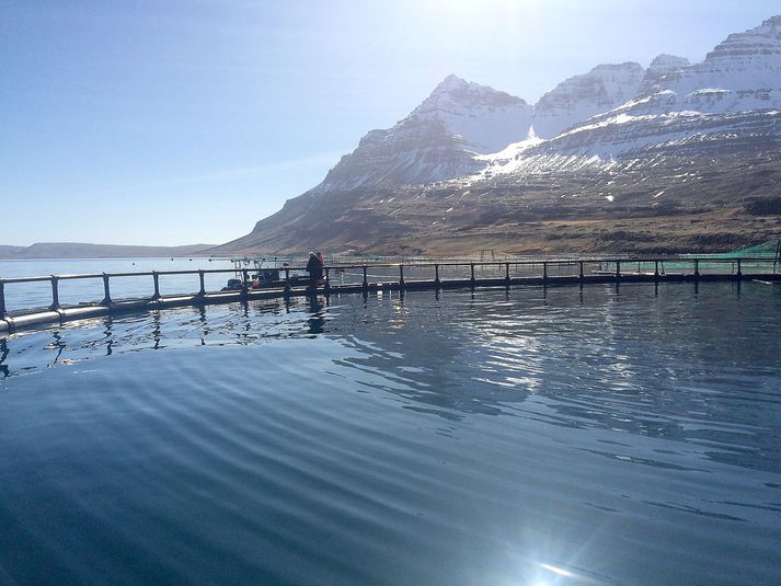 Sjókvíaeldi er ört vaxandi atvinnugrein á Austfjörðum.