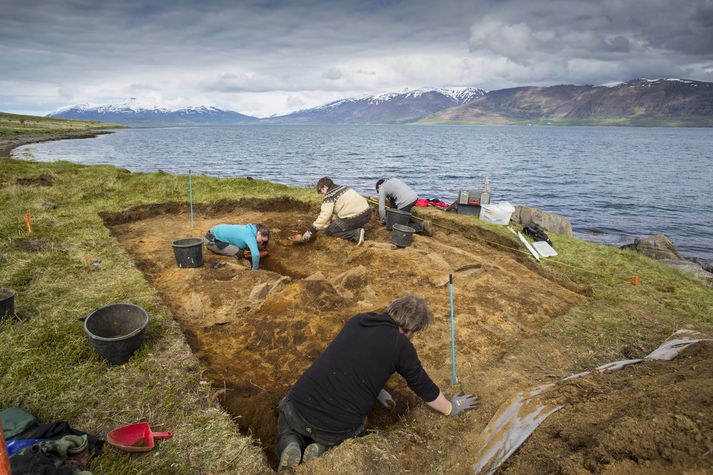 Fornleifauppgröfturinn á Dysnesi við Eyjafjörð í sumar var merkilegur fyrir þær sakir að þar fundust nokkuð heilleg bátskuml sem nú er verið að rannsaka.