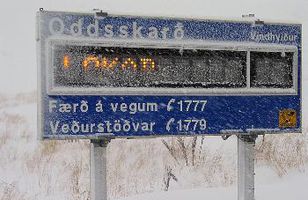 Fréttamynd