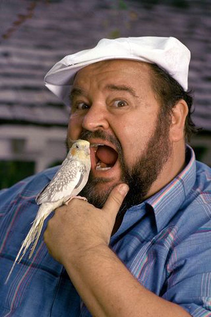 dom deluise Gamanleikarinn vinsæli Dom Deluise er farinn yfir móðuna miklu.