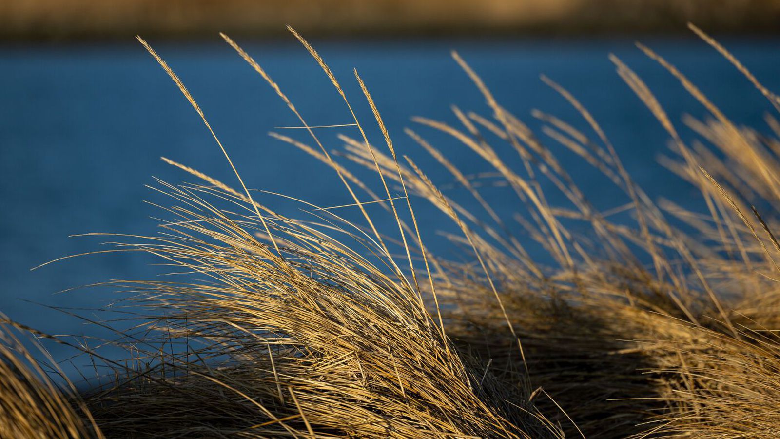 Þurrt og bjart víða um landið