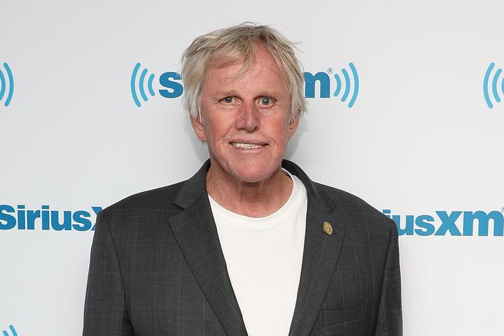 Gary Busey hefur komið sér í vandræði á ný.