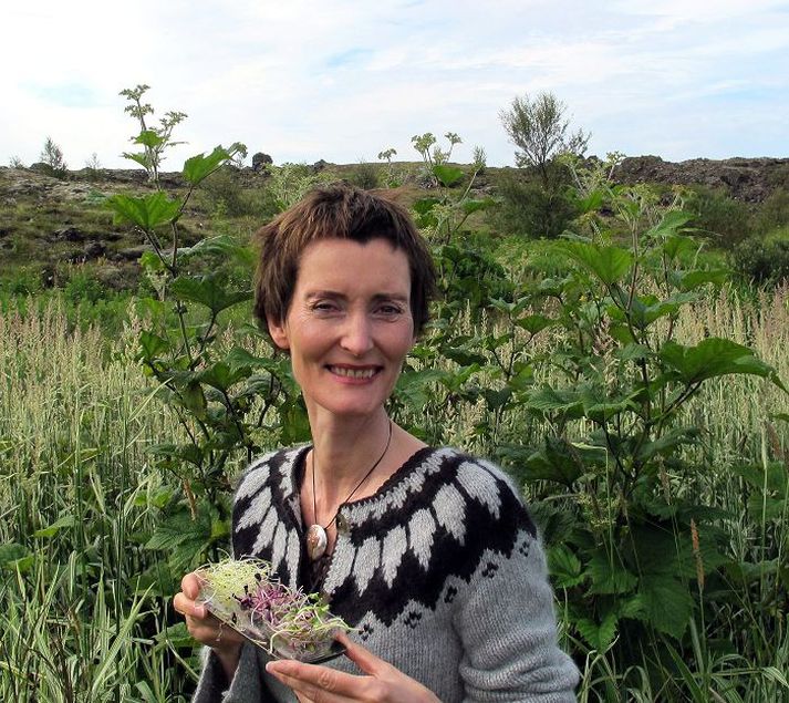 Katrín H. Árnadóttir er býflugnabóndi og ræktar einnig margar spírutegundir.