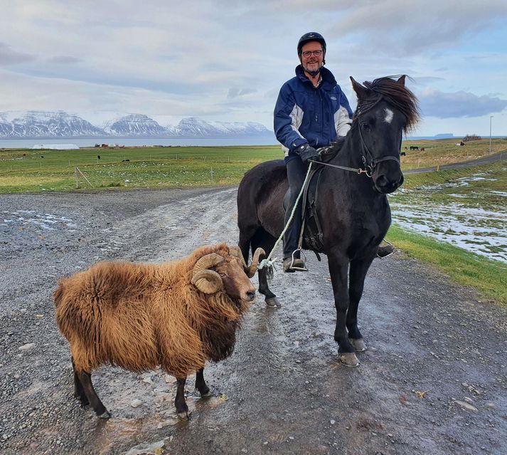 Eysteinn, Fróði og Móri eru mikli vinir.