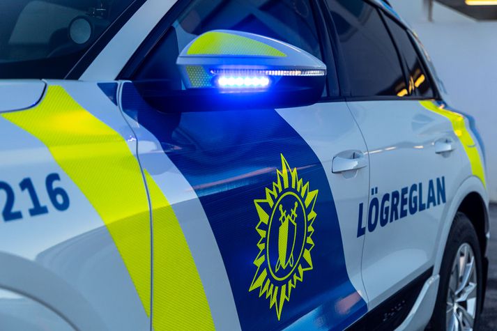 Lögreglan á höfuðborgarsvæðinu hafði í ýmsu að snúast.