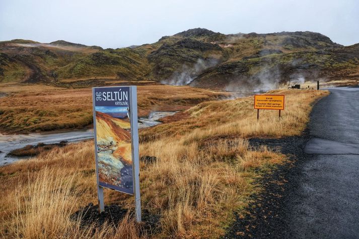 Jarðhitasvæðið Seltún í Krýsuvík er skammt frá upptökum stóra skjálftans í gær.