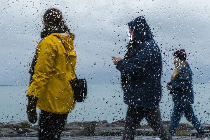 Það verður líklega töluverð úrkoma í dag.