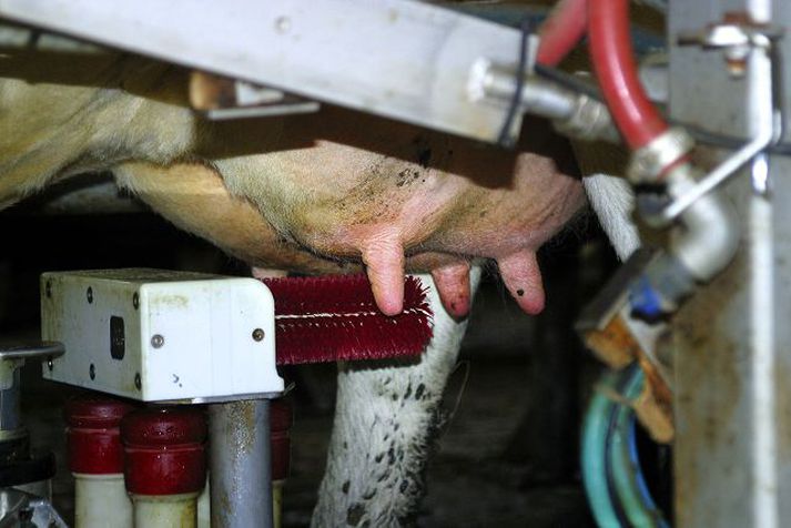 Frá og með mánaðamótum verður þjónusta við DeLaval í höndum Fóðurblöndunnar.
