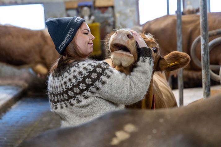 Það voru skiljanlega töluverð viðbrigði fyrir Hugrúnu að flytja þvert yfir landið, frá Akureyri yfir á kúabú á Suðurlandi.