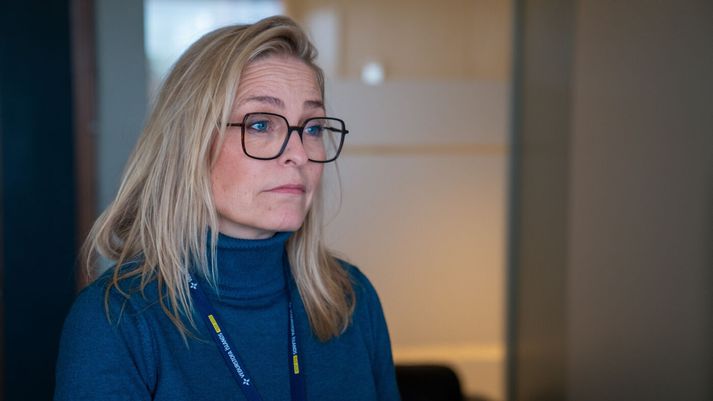 Kristín Jónsdóttir jarðfræðingur.
