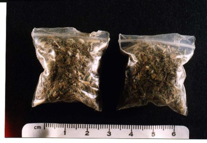 Upptæk kannabisefni. Mynd úr safni.
