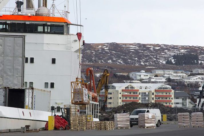 Í Hafnarfjarðarhöfn. Flutningaskipið Alma frá Nesskipum er á leið til Osaka í Japan með um tvö þúsund tonn af frosinn langreyð frá Hval hf. 